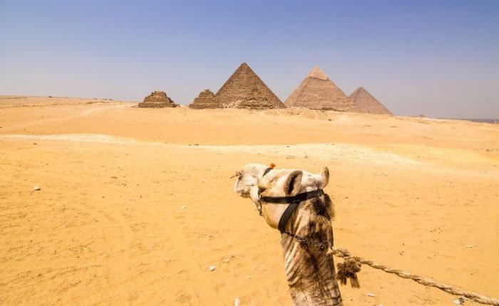 Cairo Day Tour from Ain El Sokhna Port