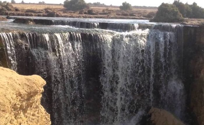 Day Tour To El Fayoum Oasis and Wadi al Rayan