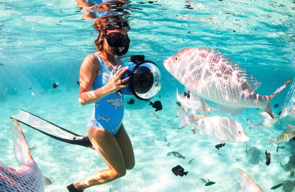 Ras Mohammed Snorkeling Tour from Sharm Marina