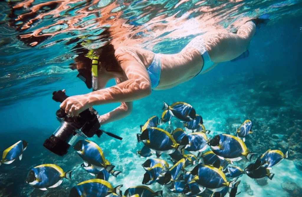 Ras Mohammed Snorkeling Tour from Sharm Marina