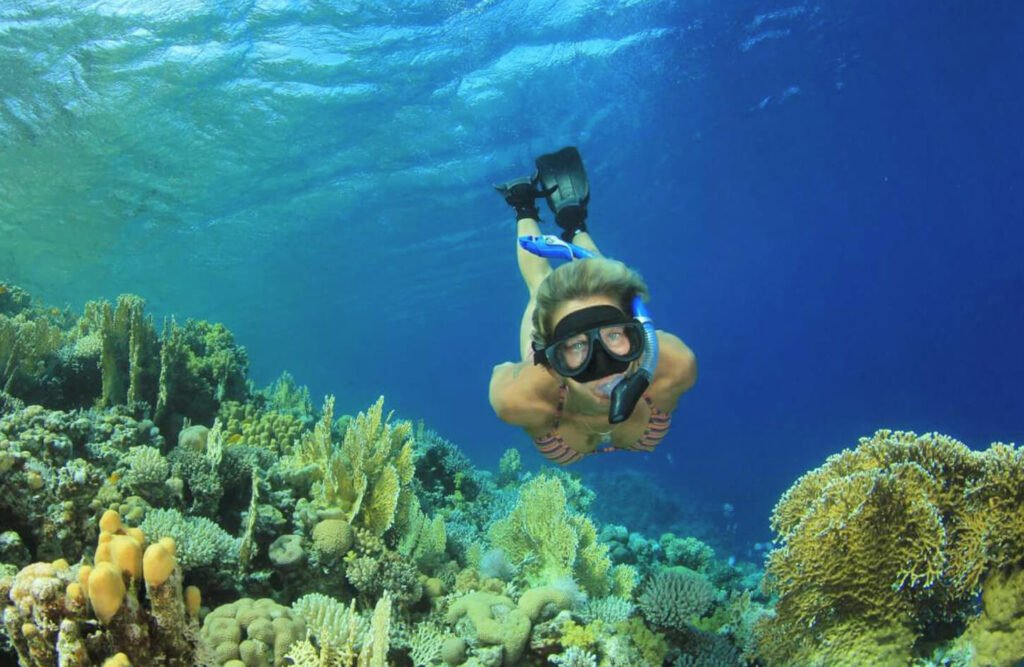 Ras Mohammed Snorkeling Tour from Sharm Marina
