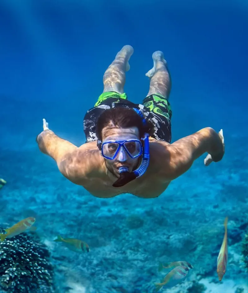 Diving on the Red Sea reef