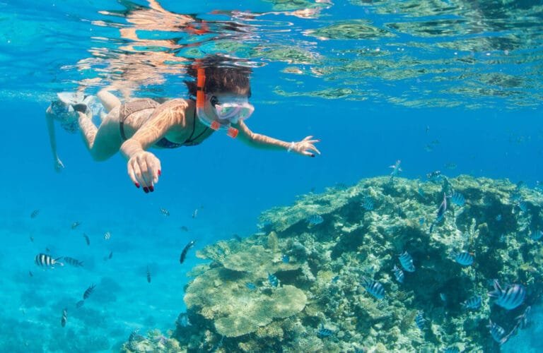 Snorkeling at Ras Mohammed National Park