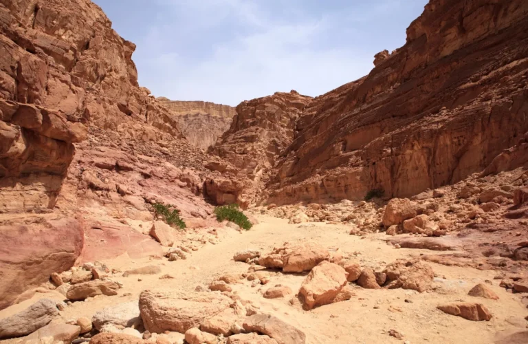 Safari Trip to Colored Canyon from Sharm El Sheikh Port