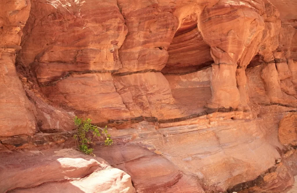 Safari Trip to Colored Canyon from Sharm El Sheikh Port